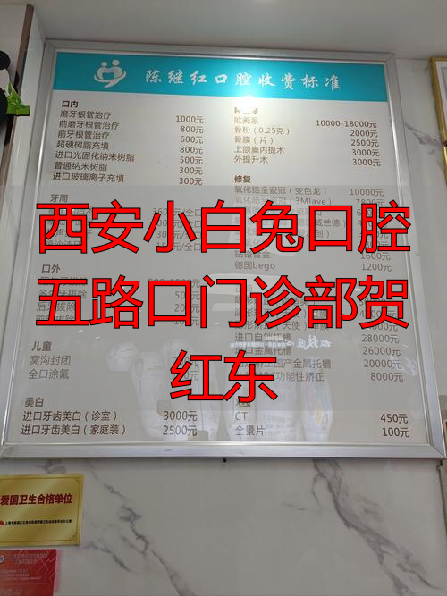西安小白兔口腔医院招聘护士_西安大白兔口腔_西安小白兔口腔五路口门诊部贺红东