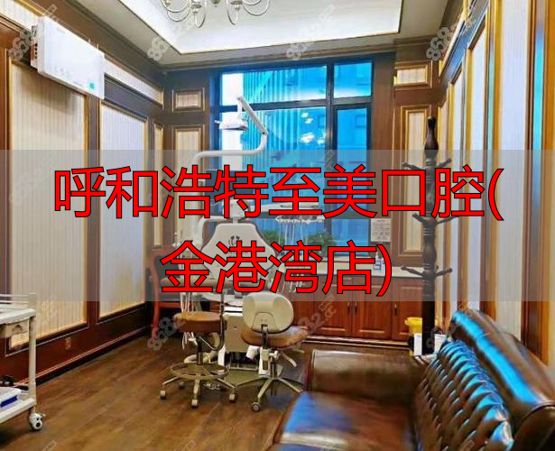 金港湾大酒店(雄楚大道店)_呼和浩特至美口腔(金港湾店)_呼市美牙店