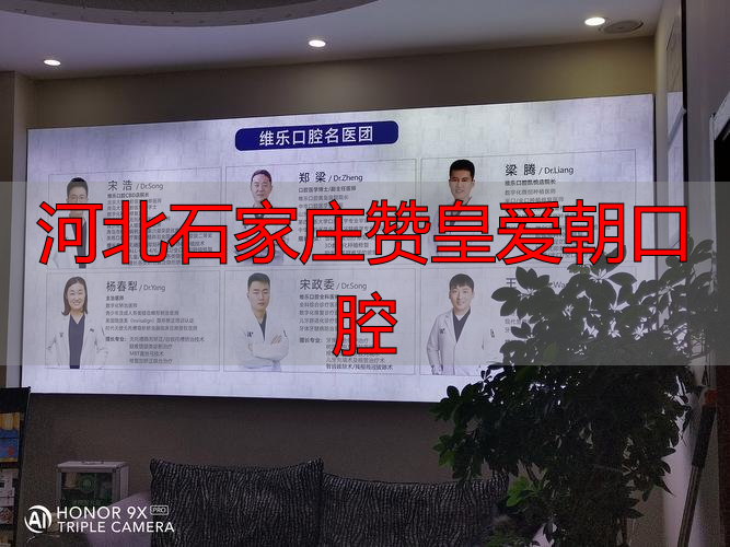 河北赞皇大枣与赞皇青枣区别_河北石家庄赞皇爱朝口腔_石家庄赞皇天气预报